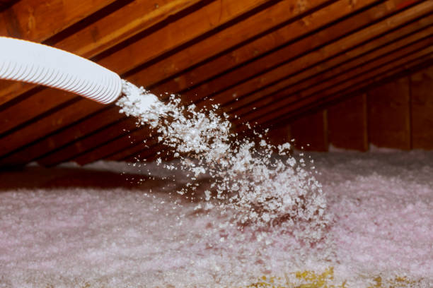 Best Residential Insulation in Spencerville, OH